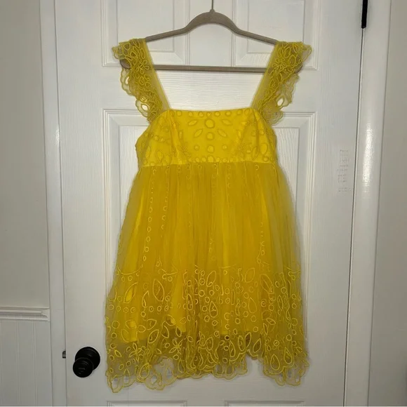 Anthropologie Let Me Be Eyelet Tulle Mini Dress - Picture 5 of 15